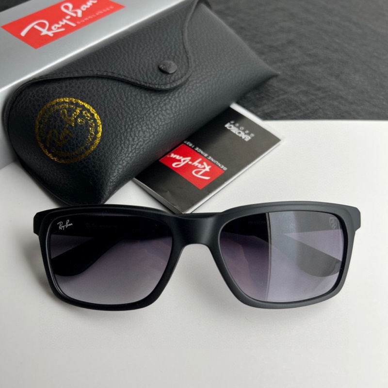 Rayban Glasses (179)